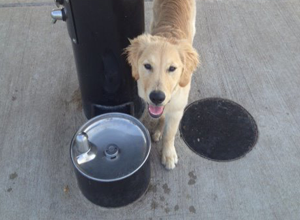 MDF Drinking Fountain 3