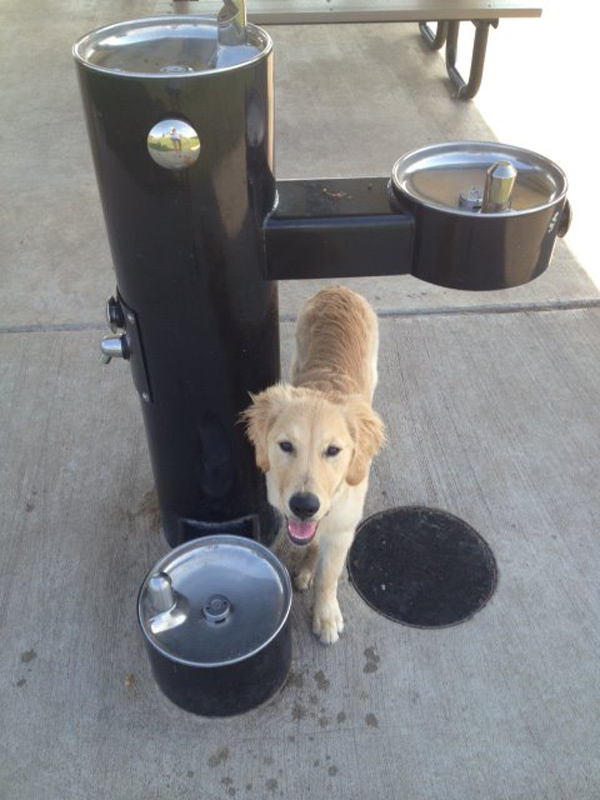 Most Dependable Fountains